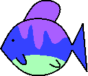 Yet another fish